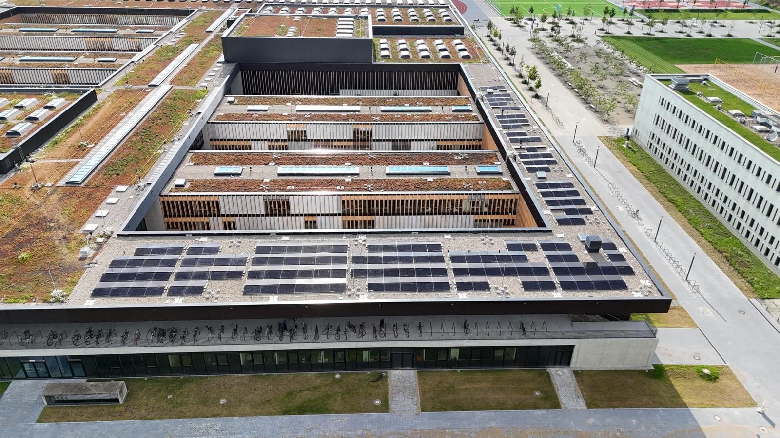 PV-Module auf einer Produktionshalle